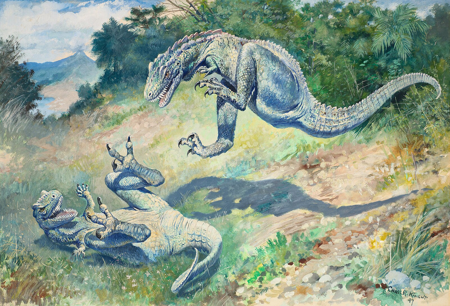 Plate #13